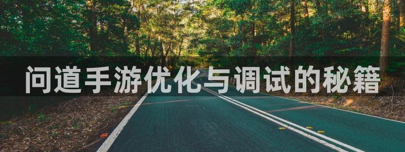 pg国际预测网站：问道手游优化与调试的秘籍