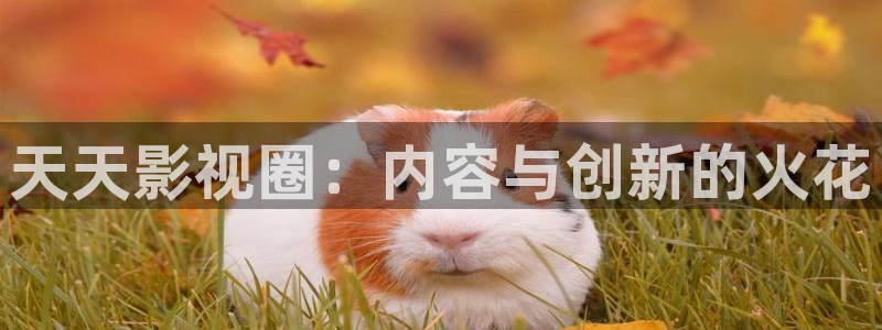 老子未来影院