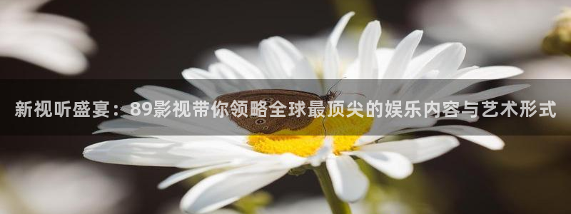 老子精品影院：新视听盛宴：89影视带你领略全球最顶尖的娱乐内容与艺术形式