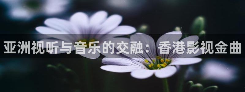 老子影院达达免最新版本更新内容：亚洲视听与音乐的交融：香港影视金曲