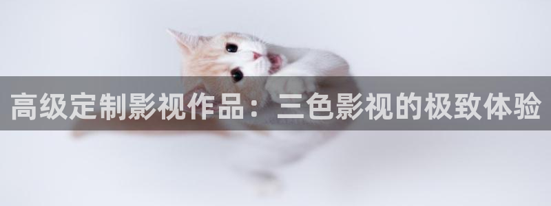 神马影院老子在线神马影院：高级定制影视作品：三色影视的极致体验